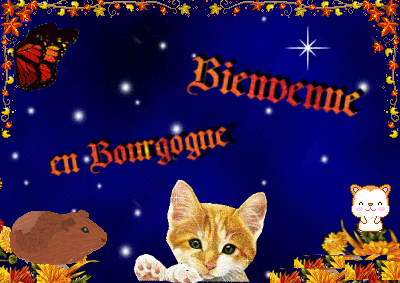 http://gifsadoudou.g.i.pic.centerblog.net/kazmbd3v.gif