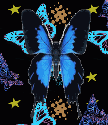 GROS PAPILLON/ETOILES