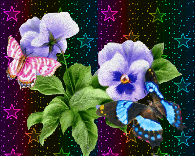 Afficher limage dorigine