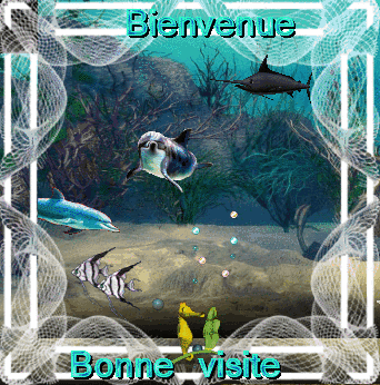 Bienvenue et bonne visite : fond marin