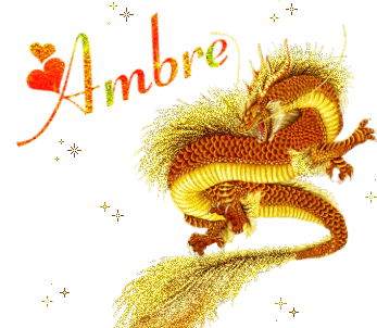 AMBRE signe chinois DRAGON